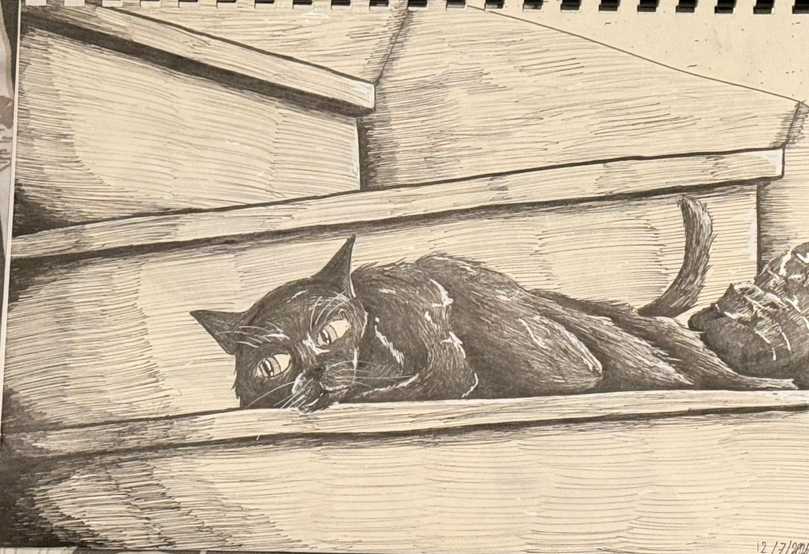 Le chat